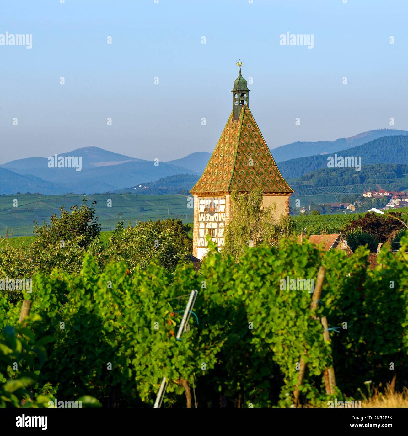 /Frankreich, Haut Rhin, elsässische Weinstraße, Bergheim