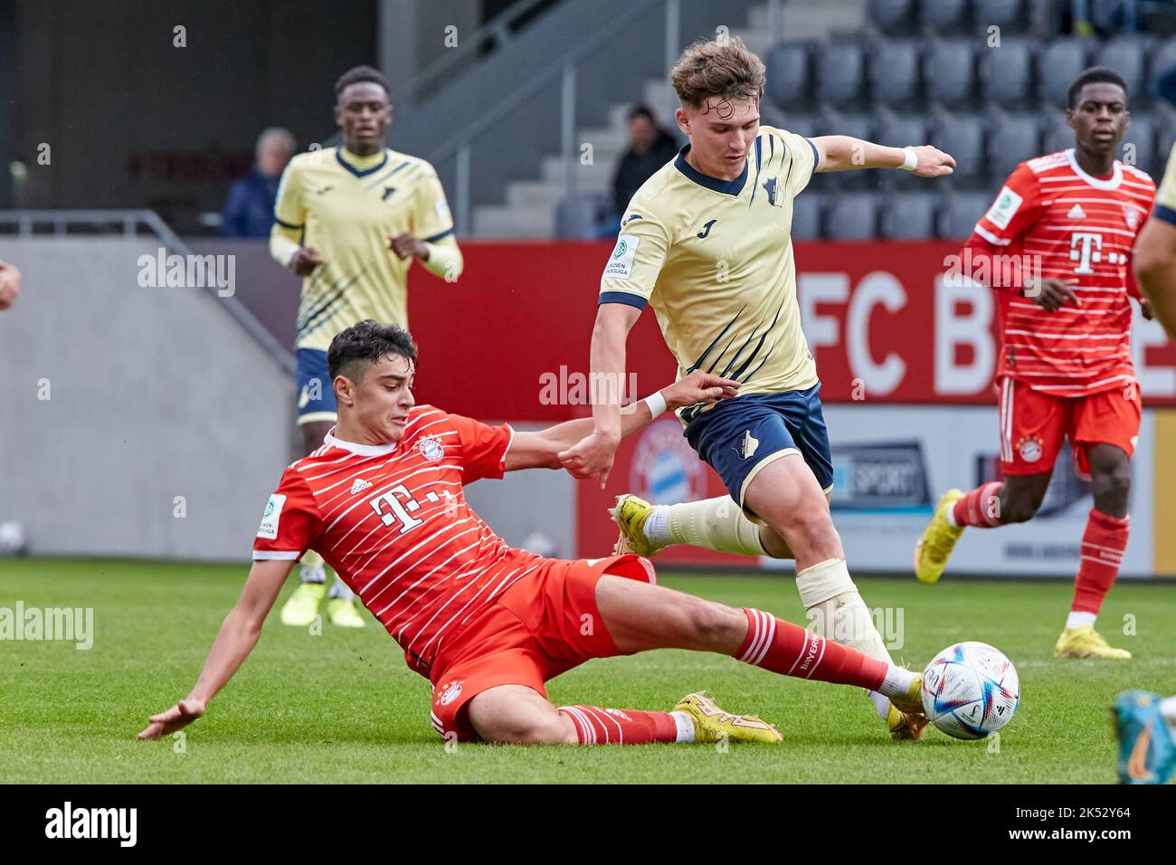 Fußball-Bundesliga 1 U19 FC Bayern München gegen TSG 1899 Hoffenheim Stockfoto