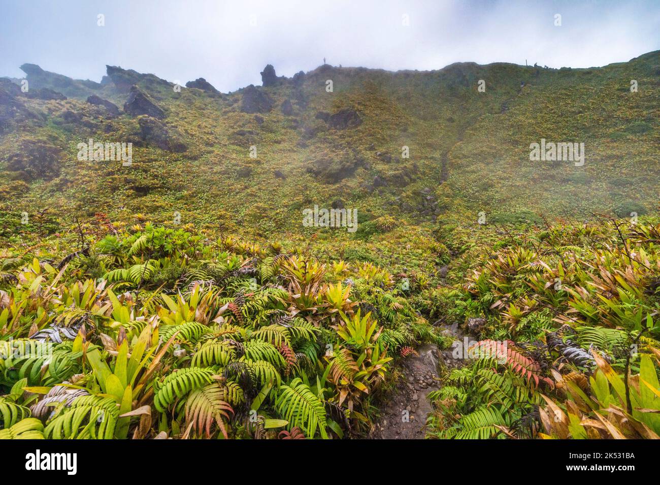 Frankreich, Karibik, Kleine Antillen, Martinique, Morne-Rouge, Besteigung des Vulkans Montagne Pelée (1395 m) Stockfoto