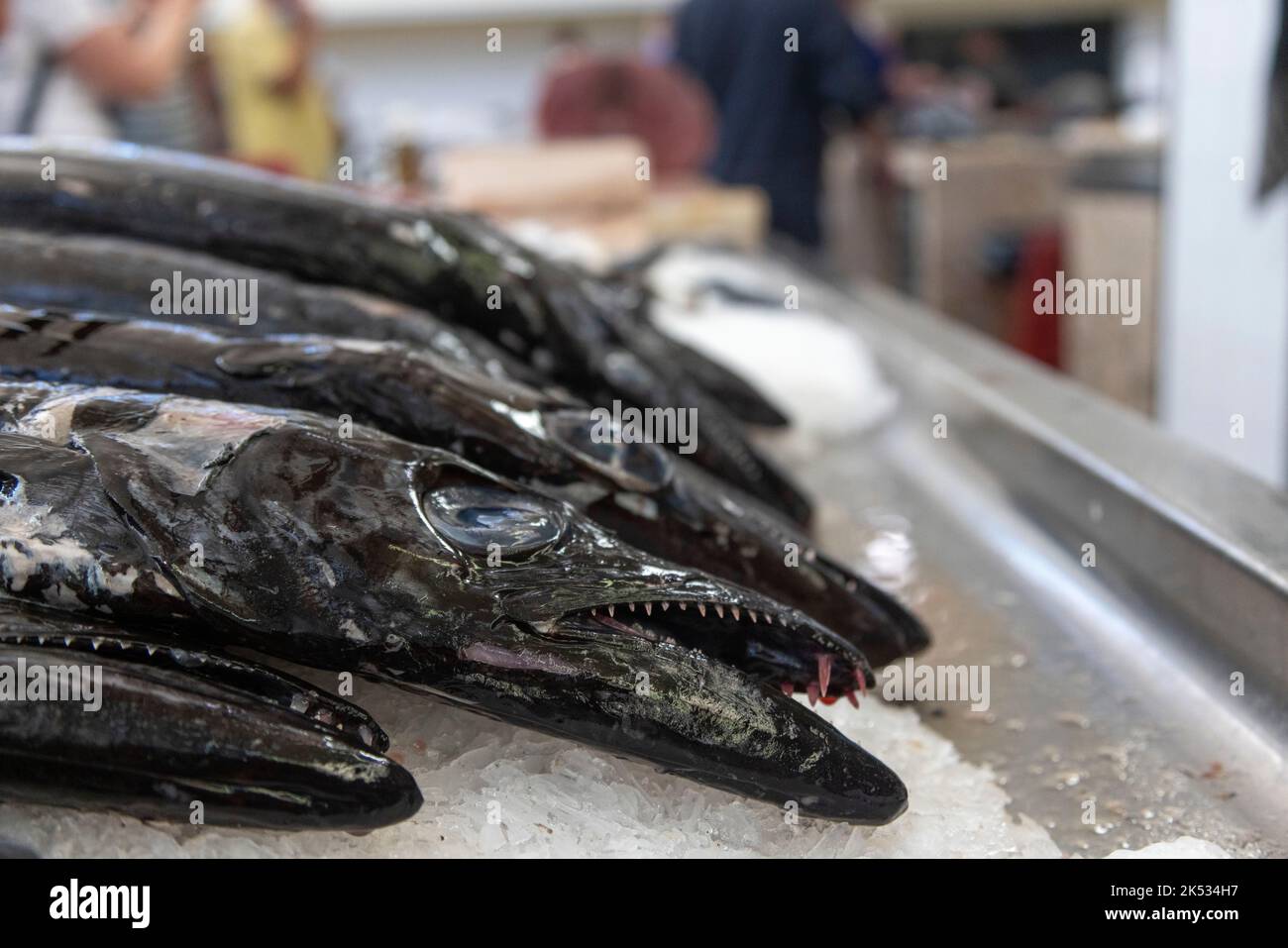 Portugal, Madeira, Funchal, Markt, Mercado dos Lavradores, Fischmarkt, Verkauf von schwarzem Scheidenfisch (Aphanopus carbo) Stockfoto