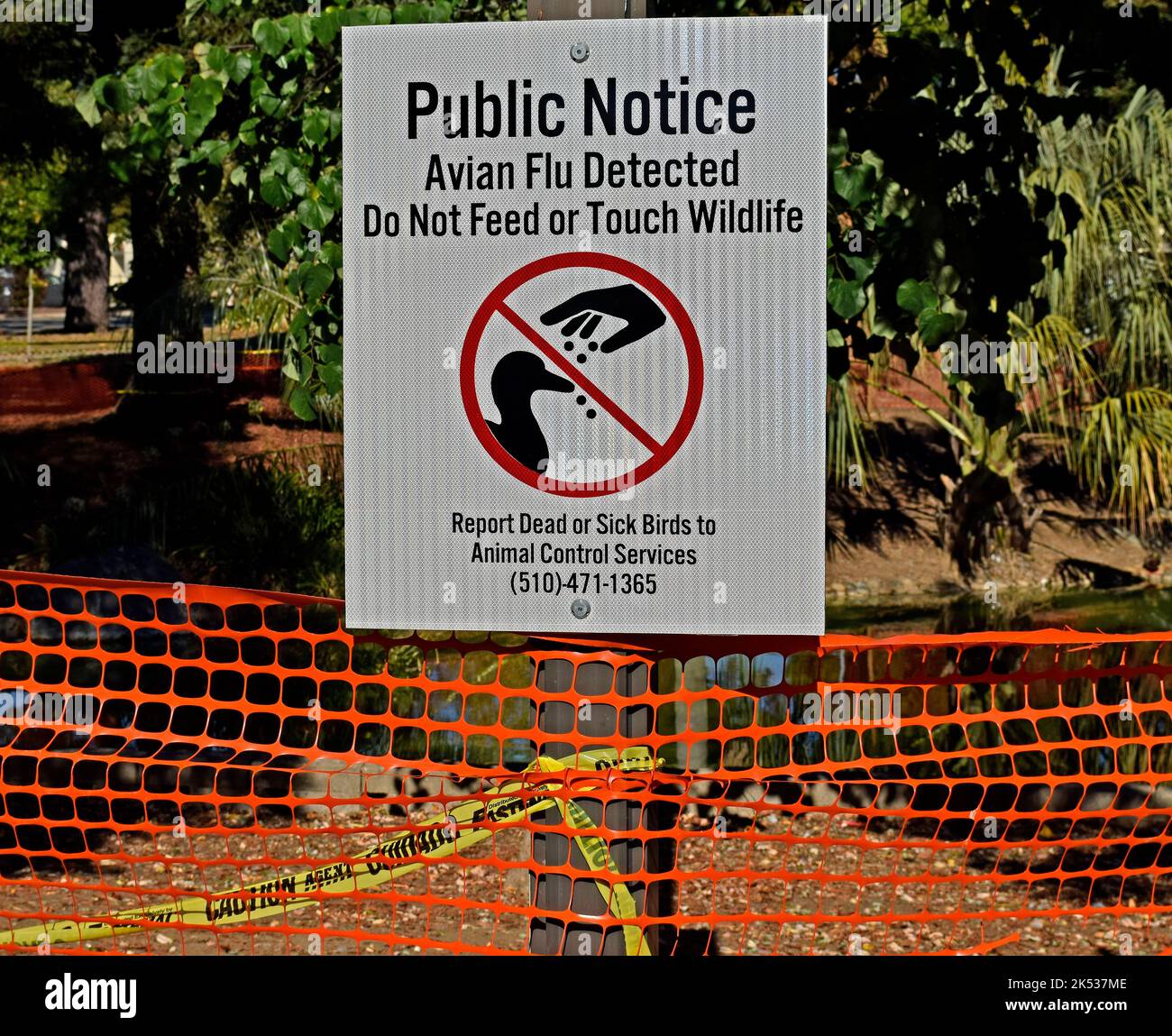 park Teich mit Wasservögeln eingezäunt in Union City, Kalifornien und Vogelgrippe erkannt Füttern oder berühren Wildtiere nicht öffentlichen Hinweisschild, melden Sie tote oder kranke Vögel an Animal Control Services Stockfoto