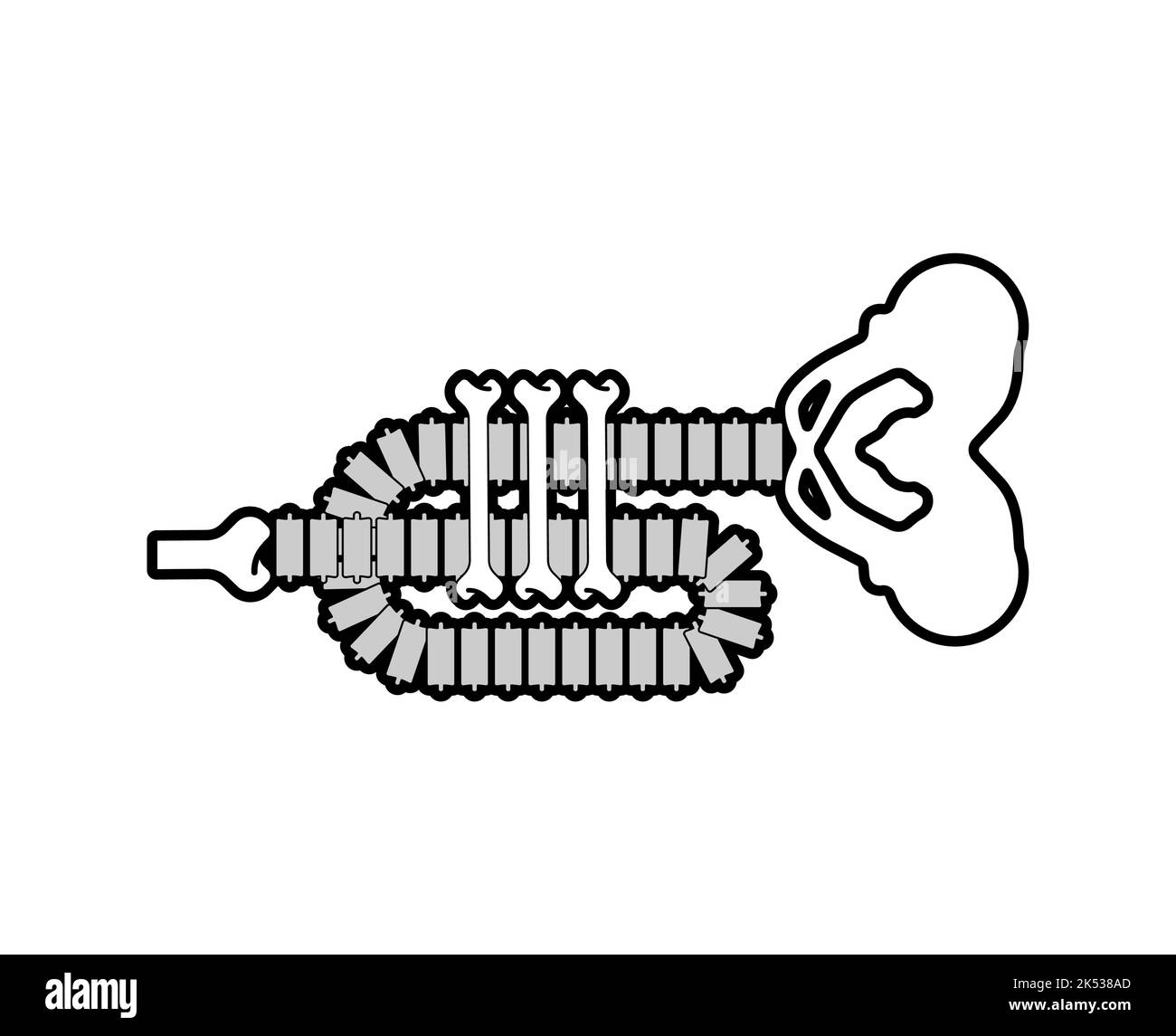 Trompete aus Knochen. Skelettbummi. Tod Musikinstrument Stock Vektor