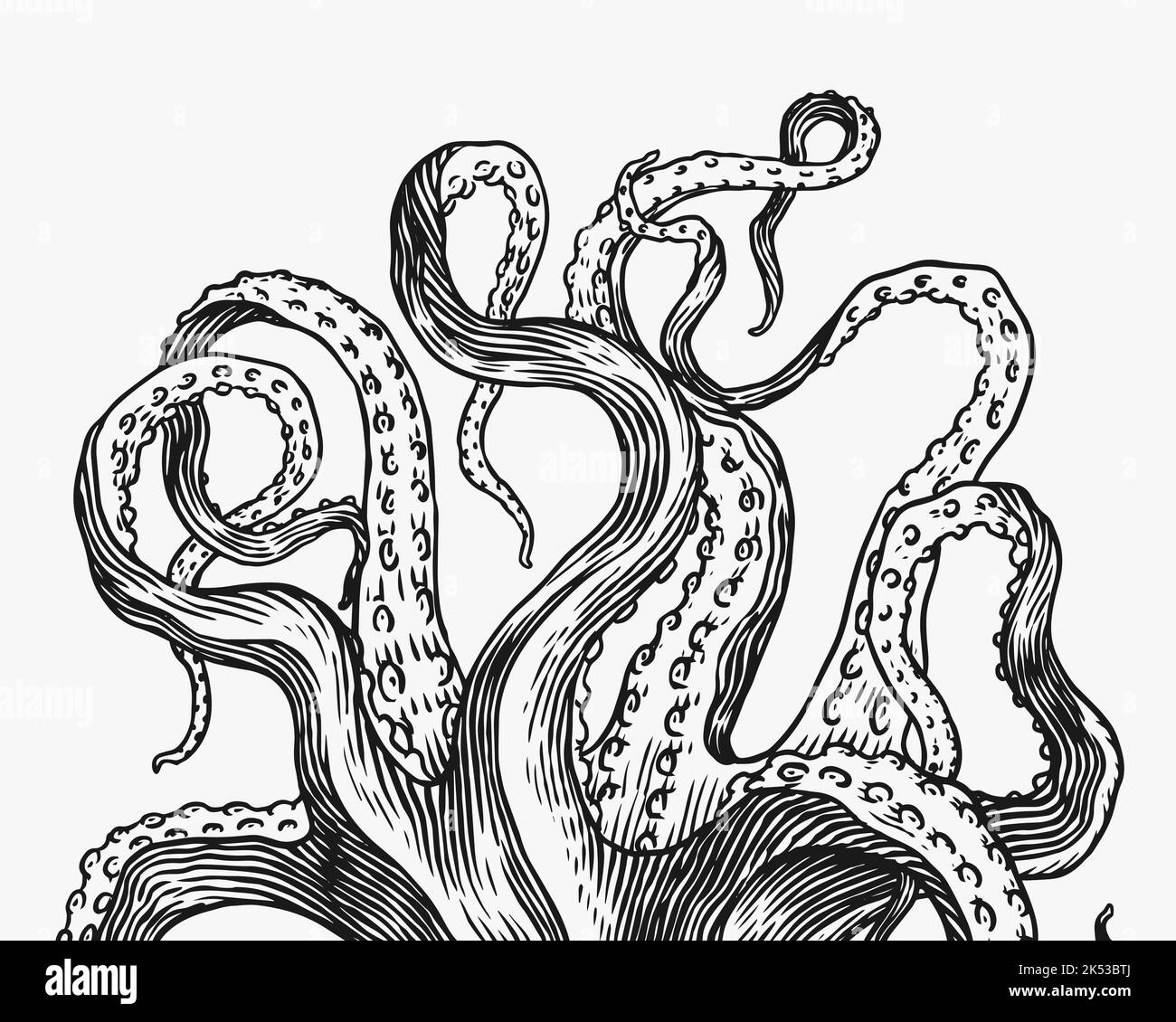 Kraken-Tentakeln. Eingraviert von Hand gezeichnet in alter Skizze, Vintage Kreatur. Nautisch oder marine, Monster. Tier im Ozean. Vorlage für Logos, Etiketten Stock Vektor