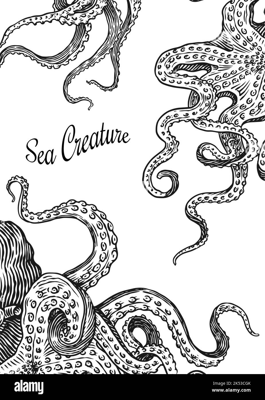 Meereskrake Hintergrund. Eingraviert von Hand gezeichnet in alter Skizze, Vintage Kreatur. Nautisch oder marine, Monster. Tier im Ozean. Vorlage für Logos Stock Vektor
