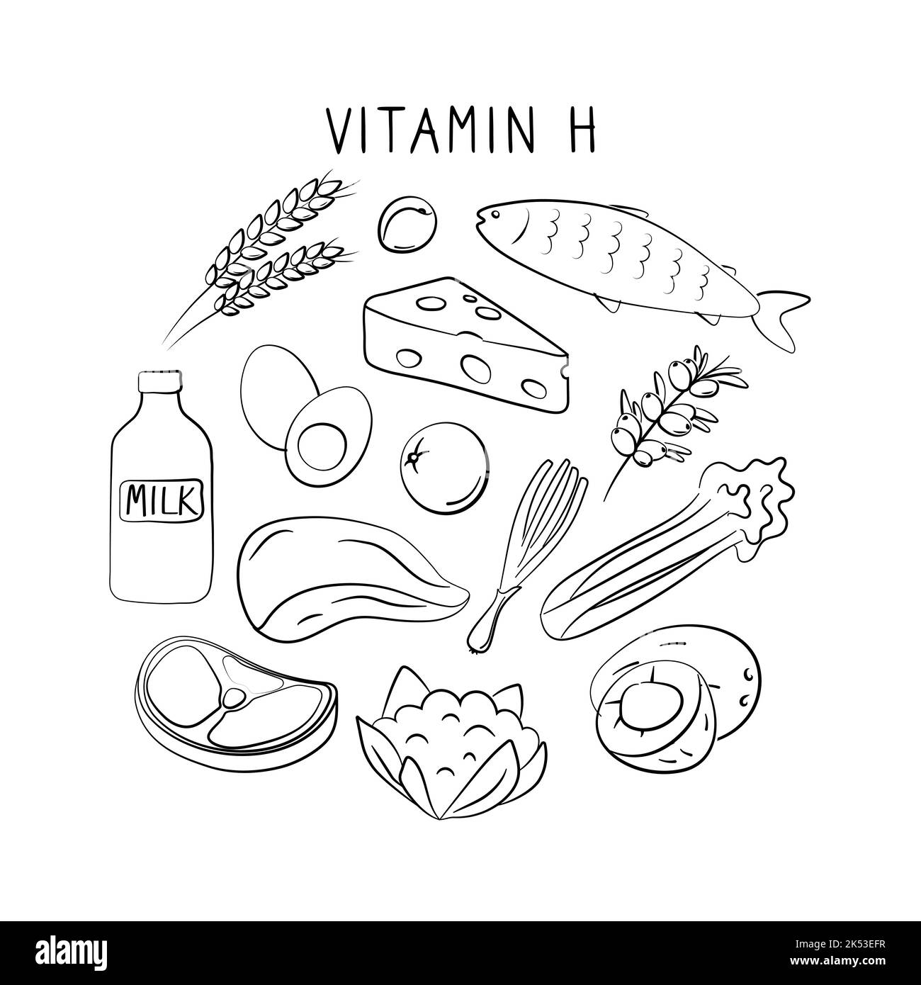 Vitamin H Biotin. Gruppen von gesunden Lebensmitteln, die Vitamine enthalten. Set aus Obst, Gemüse, Fleisch, Fisch und Milchprodukten. Stock Vektor