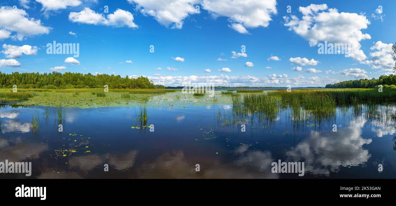Wolken spiegeln sich in der Wasseroberfläche. See Vrevo . Alexandrovka. Leningrad Stockfoto