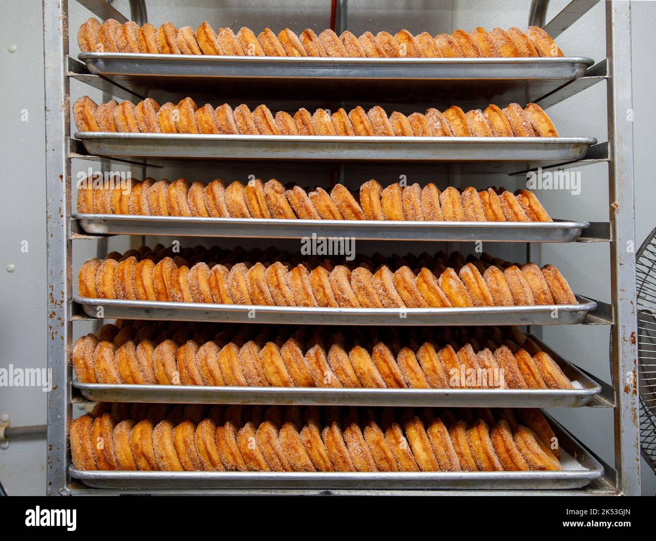 Rogers Family Orchard, Johnstown, Fulton County, New York: Die Herstellung von Apfelmost-Donuts ist eine herbstliche Tradition im Bundesstaat New York. Stockfoto