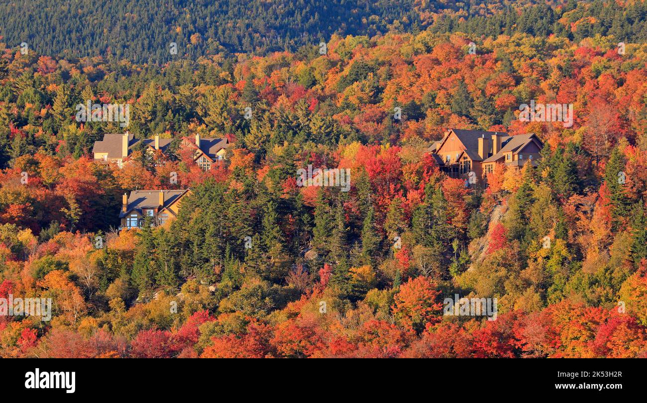 Häuser umgeben von bunten Herbstblättern am Mont Tremblant Stockfoto