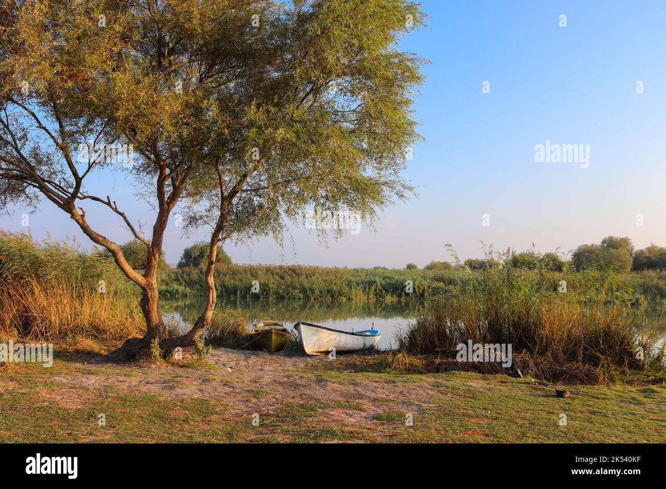 Ein weißes Boot dockte am Ufer eines Flusses an, wobei die Blätter der Bäume im Herbst ihre Farbe änderten. Fischerboot unter einem Baum geparkt Stockfoto