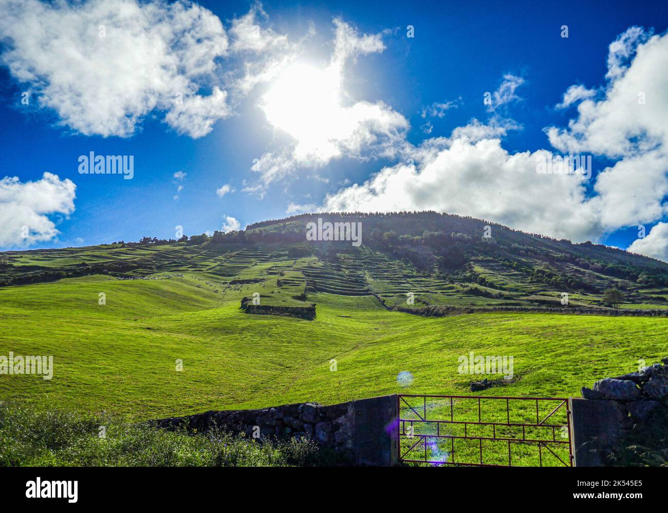 Die grüne Landschaft der Insel Graciosa, Azoren Stockfoto