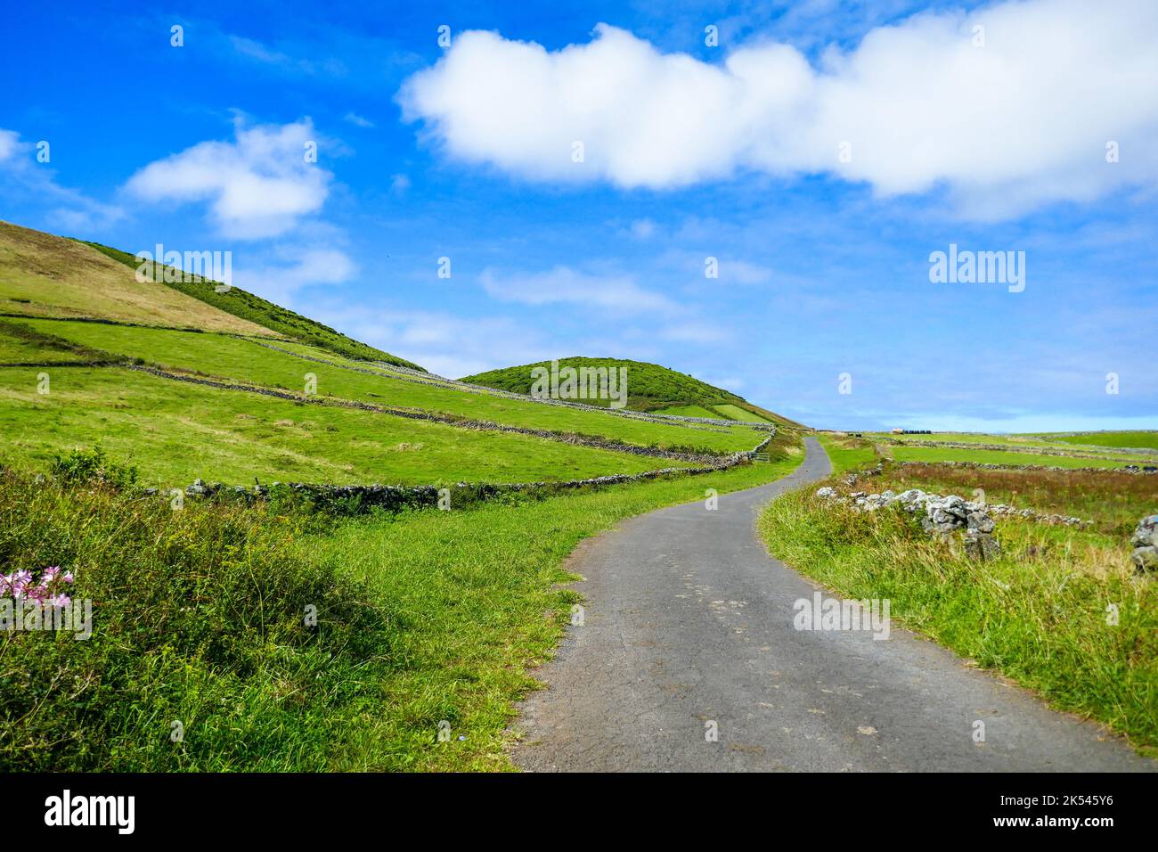 Die grüne Landschaft der Insel Graciosa, Azoren Stockfoto