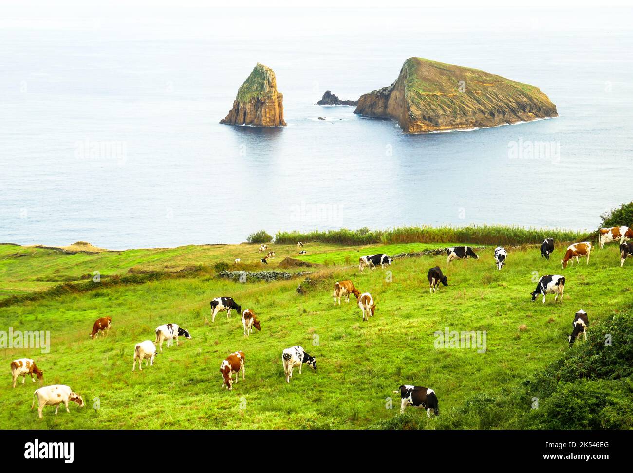 Baixo Islet, Ilhéu do Carapacho, Ilhéu dos Homiziados, eine kleine unbewohnte Inselgruppe vor der Südostküste der Insel Graciosa Stockfoto