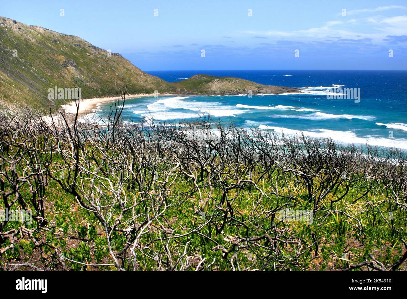 Küstenlandschaft, auffällige Klippe, Südwestaustralien Stockfoto