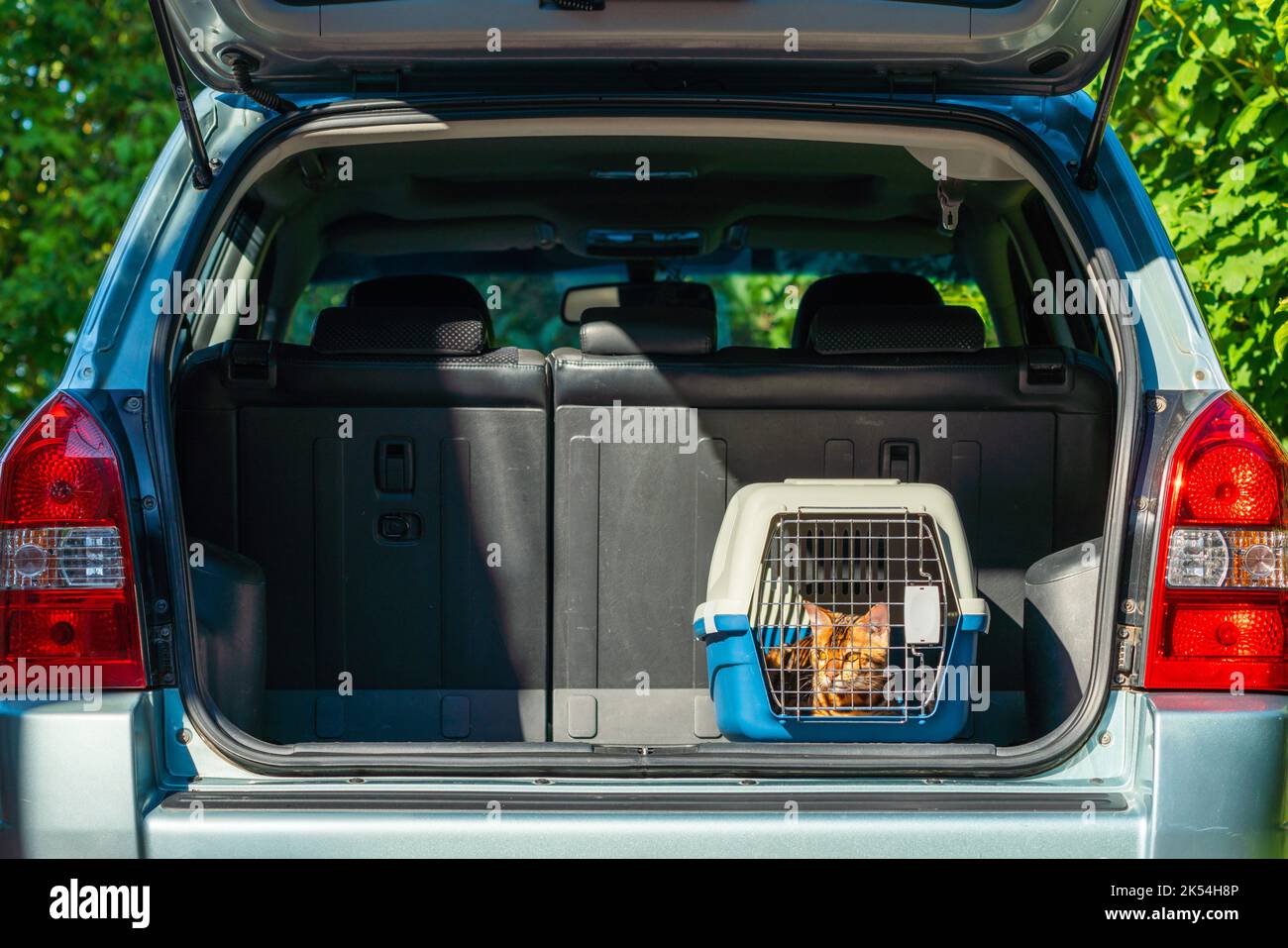 Träger für Katzen im Kofferraum eines Autos. Transport von
