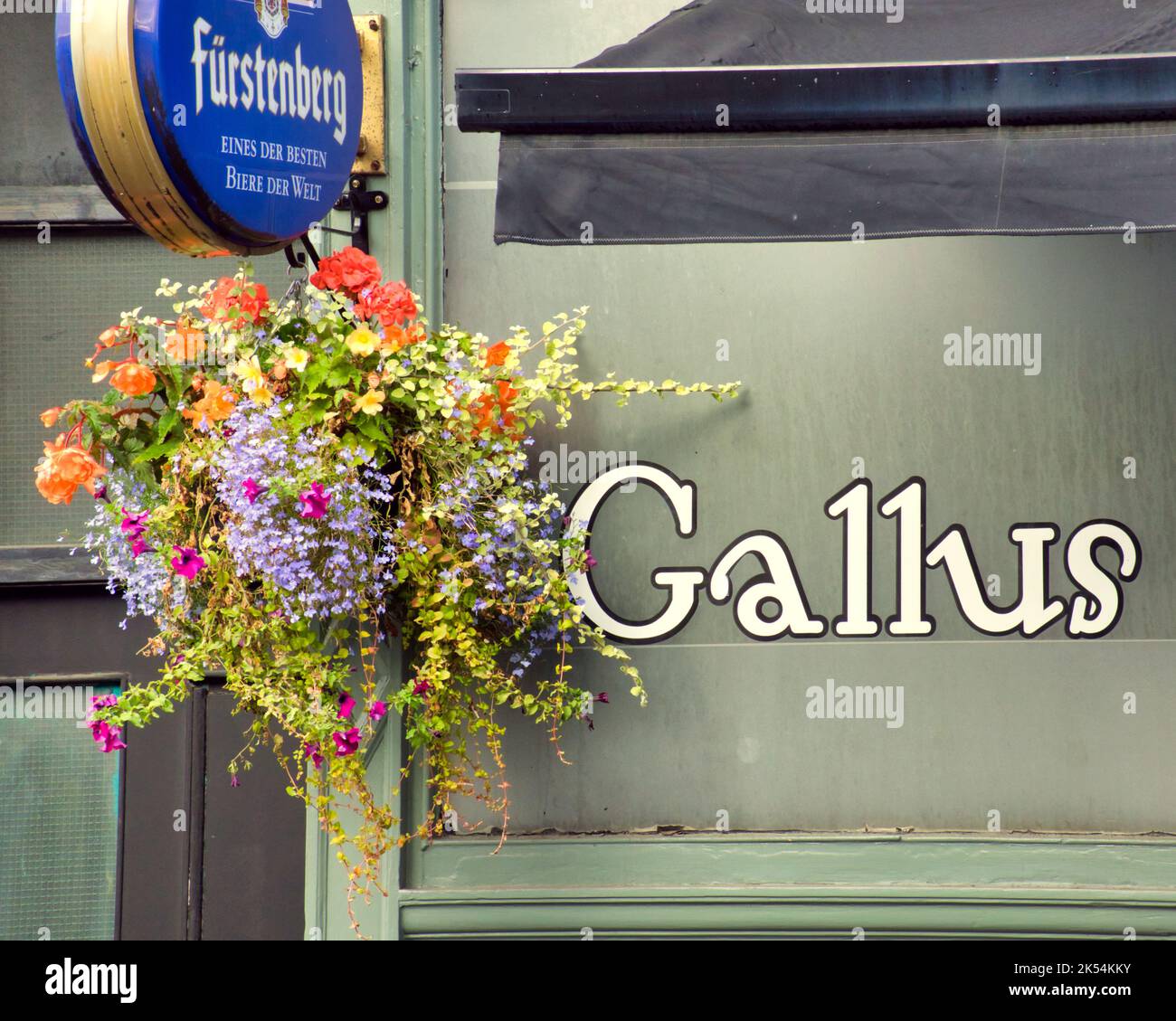 Umgangssprachlich Bar Gallus genannt. 80 Dumbarton Road Teilck Glasgow G11 6NX. Übersetzt kühn oder gewagt Stockfoto