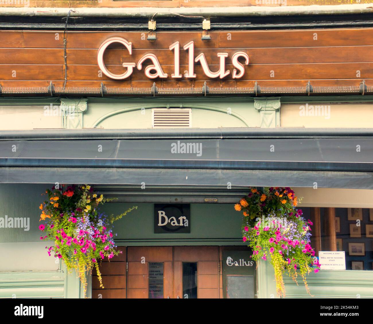 Umgangssprachlich Bar Gallus genannt. 80 Dumbarton Road Teilck Glasgow G11 6NX. Übersetzt kühn oder gewagt Stockfoto