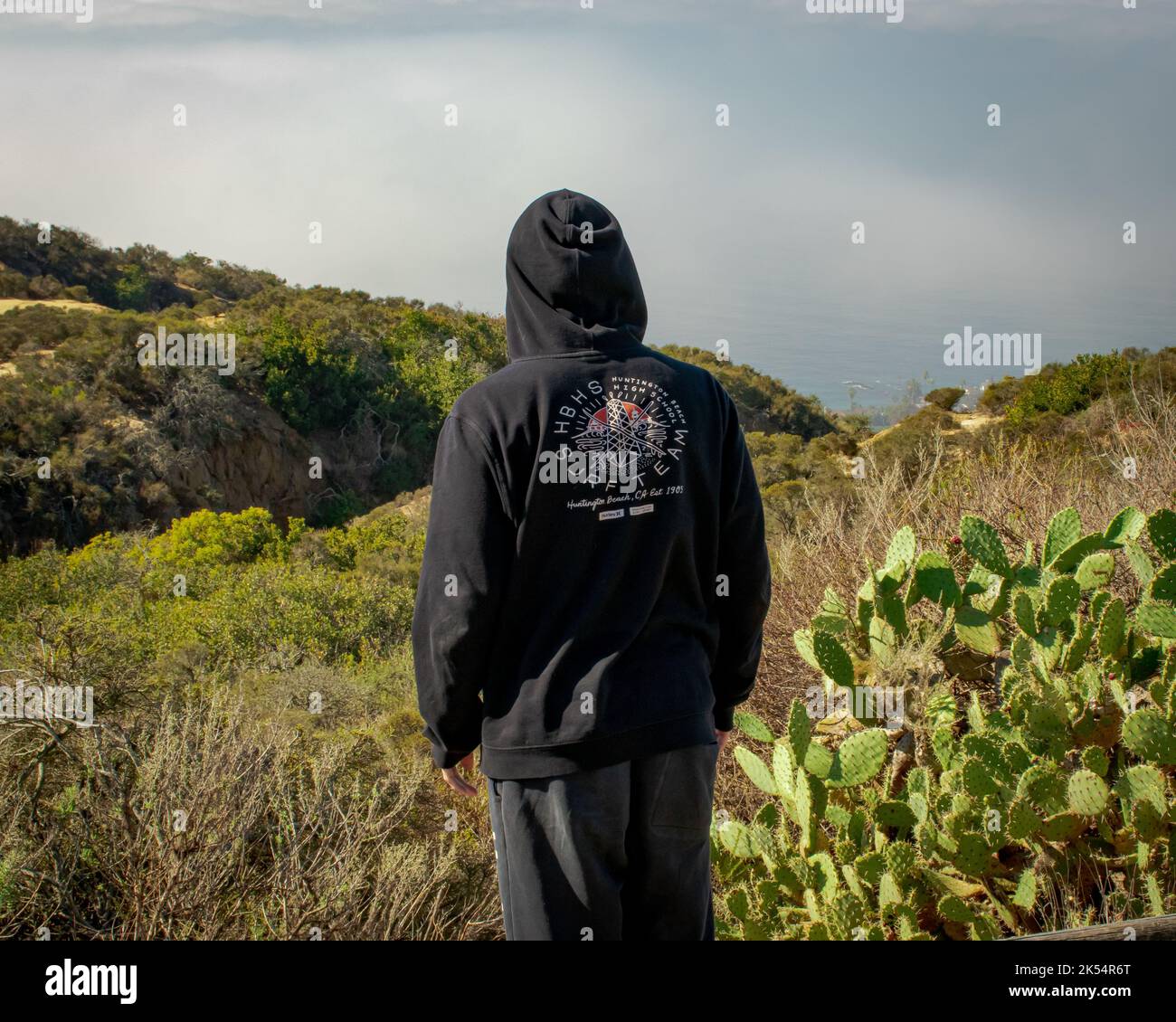 Eine Rückansicht eines Mannes mit Blick auf Three Arches Bay in Laguna Niguel, USA Stockfoto