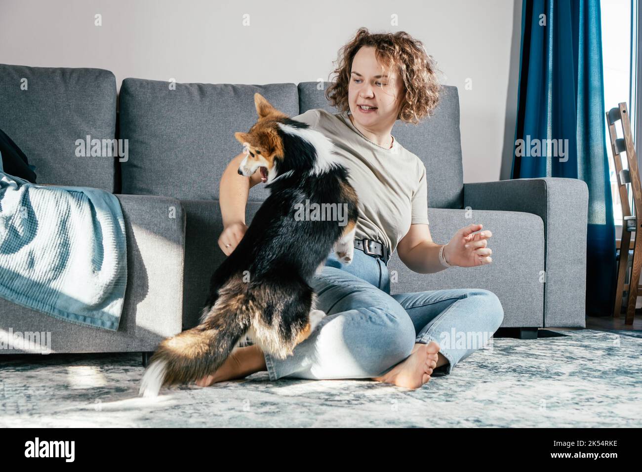 Lockig behaarte, fröhliche Barfußfrau mit Hundehorgi. Gehorsam Training, Fütterung von Haustier, sitzen, entspannen und spielen auf dem Boden in komfortabel Stockfoto