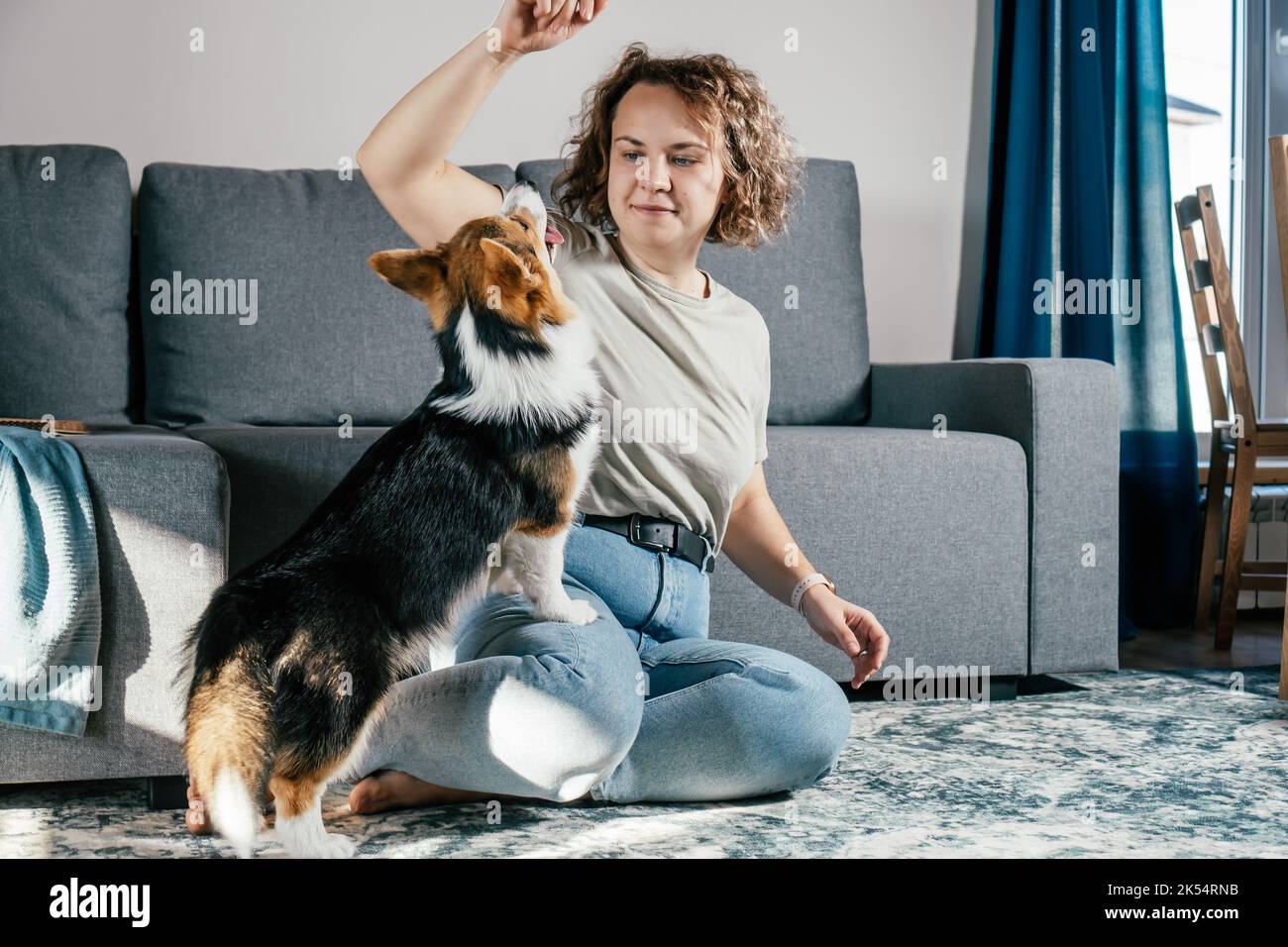 Lockig behaarte, fröhliche Barfußfrau mit Hundehorgi. Gehorsam Training, Fütterung von Haustier, sitzen, entspannen und spielen auf dem Boden in komfortabel Stockfoto