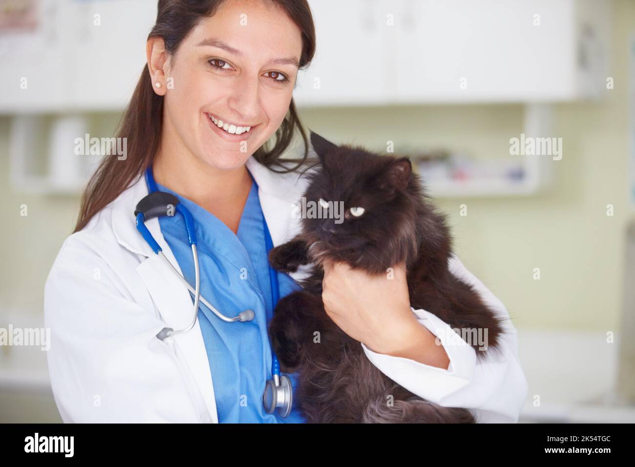 Wir wollen Ihren Haustieren das Leben retten. Porträt einer lächelnden Tierärztin mit einer mürrischen dunklen Katze. Stockfoto