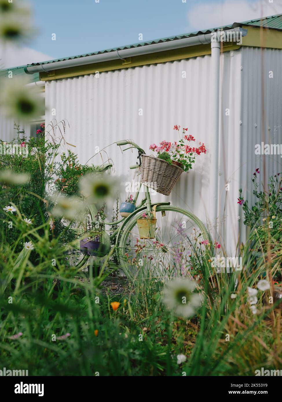 Ein farbenfroher Hüttengarten mit einem alten Fahrrad-Ornament in Cromarty, Black Isle, Ross & Cromarty, Highland, Schottland, Großbritannien Stockfoto