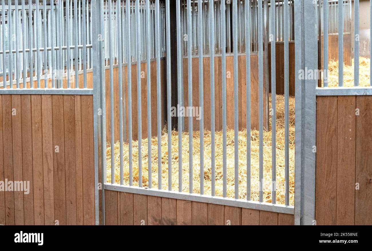 Leerer Käfig (keine Tiere), Innenbereich, selektiver Fokus Stockfoto