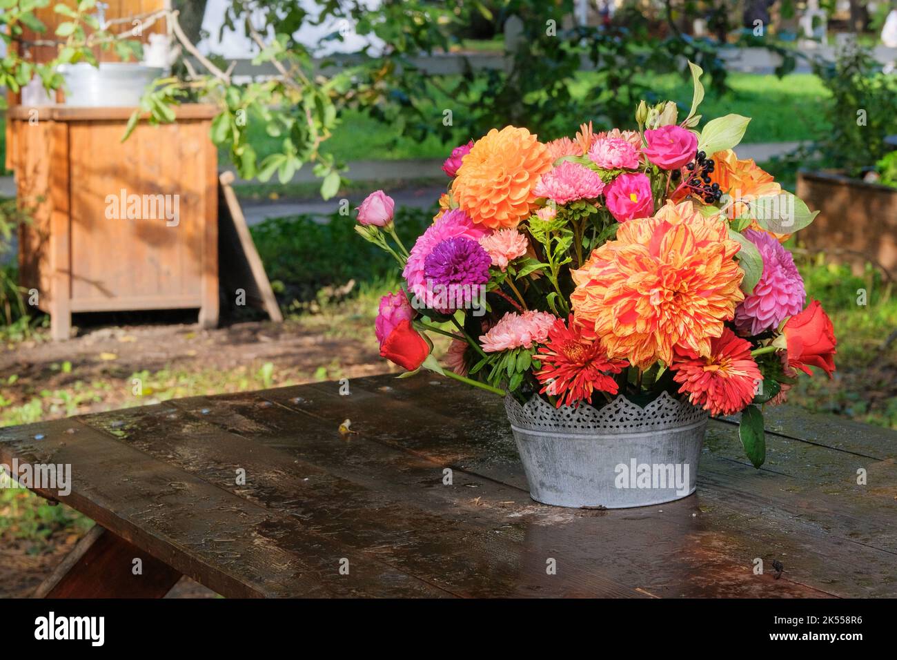 Herbstblumen: rosen, Aster, Dahilie im Garten auf einem Holztisch. Floristisches Design. Sonniger Tag. Stockfoto