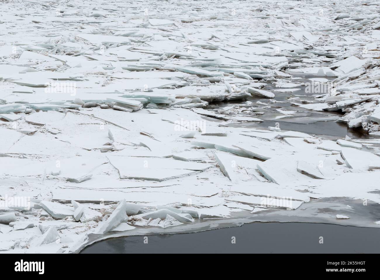 Eisklemmter Fluss. Große Platten aus gebrochenem zerklüfteten Eis verstopfen den Fluss. Das Eis ist meist frazil. Stockfoto