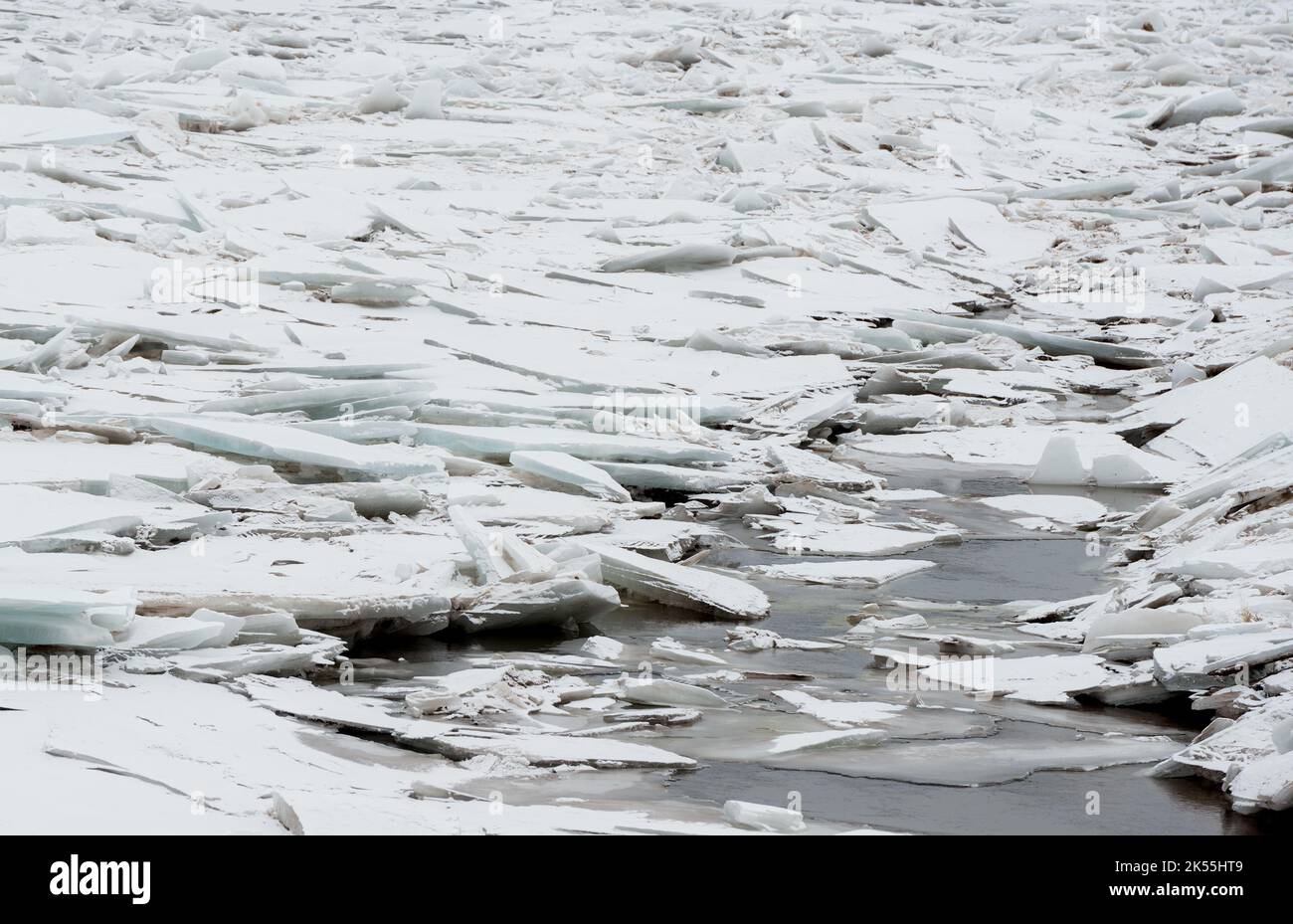 Eisklemmter Fluss. Große Platten aus gebrochenem zerklüfteten Eis verstopfen den Fluss. Das Eis ist meist frazil. Stockfoto