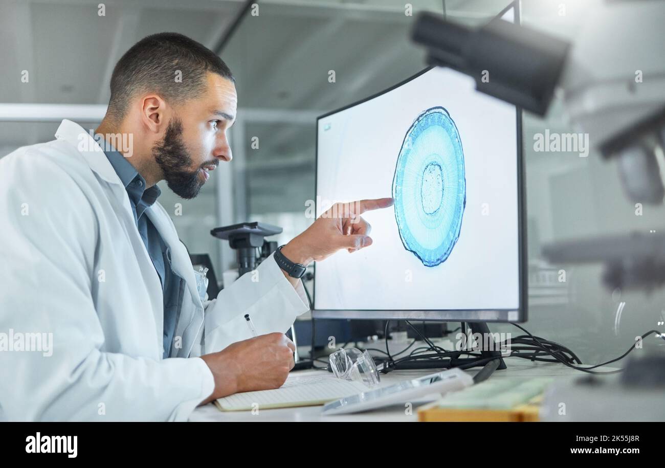 Gehirnentwicklung, Laborforschung und Wissenschaftler, die an der Analyse von Scans für die Gesundheitswissenschaft an einem Computer bei der Arbeit arbeiten. Arzt tut es Stockfoto