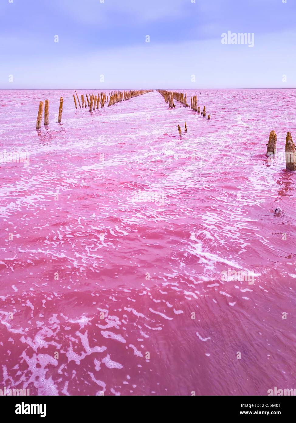 Dunaliella salina vererbt ein rotes, rosafarbenes Wasser im Mineralsee mit trockenem Wasser Stockfoto