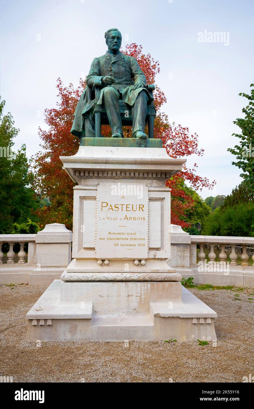 Statue von Pasteur in Arbois, Jura, Frankreich. Das Museum des Hauses Louis Pasteur ist das erhaltene ehemalige Wohnhaus und persönliche Labor des renommierten Science-Science-Museums Stockfoto