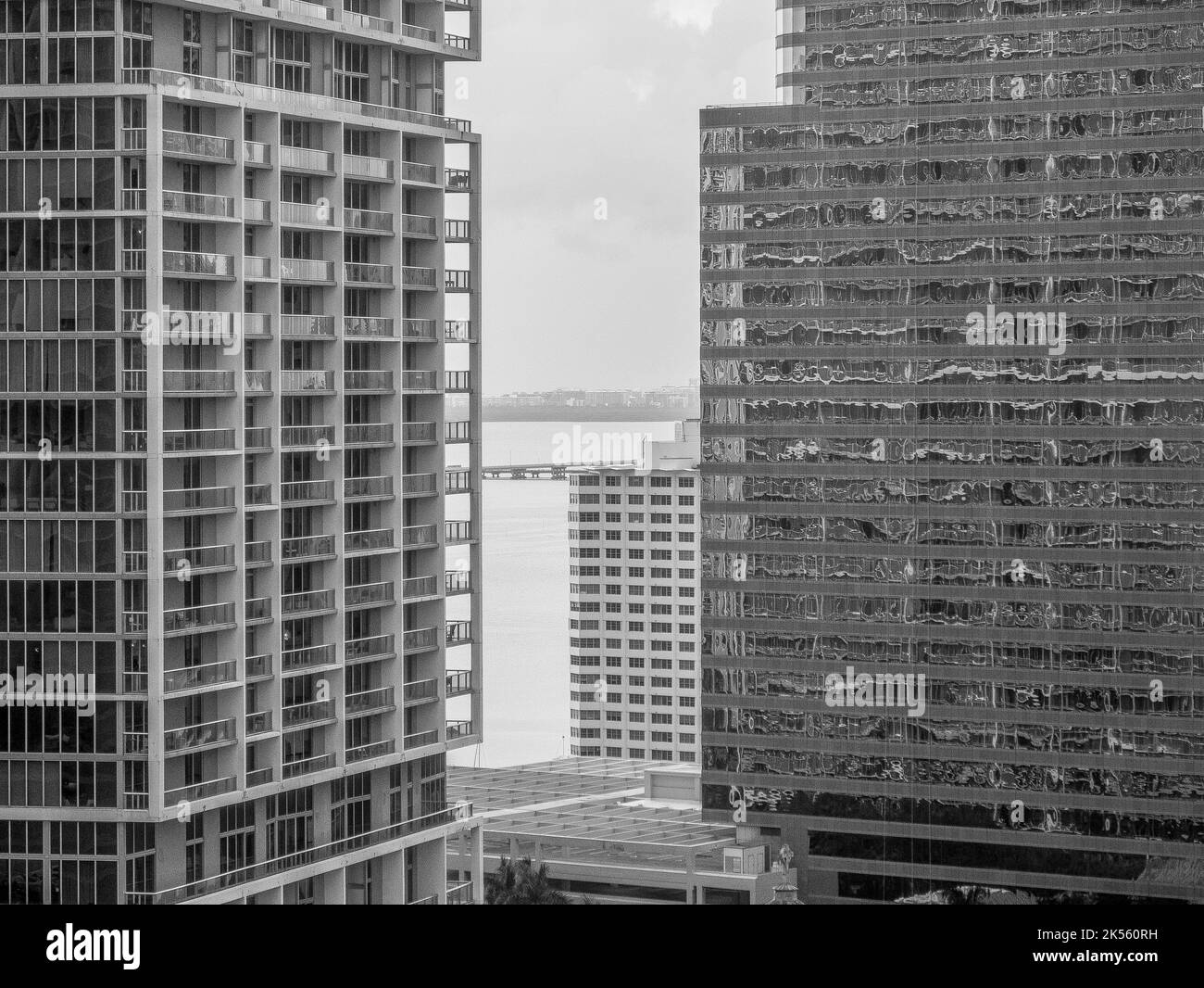 Eine Schwarz-Weiß-Aufnahme der Innenstadt von Miami in der Morgendämmerung, die durch Hochhäuser auf das Wasser blickt Stockfoto