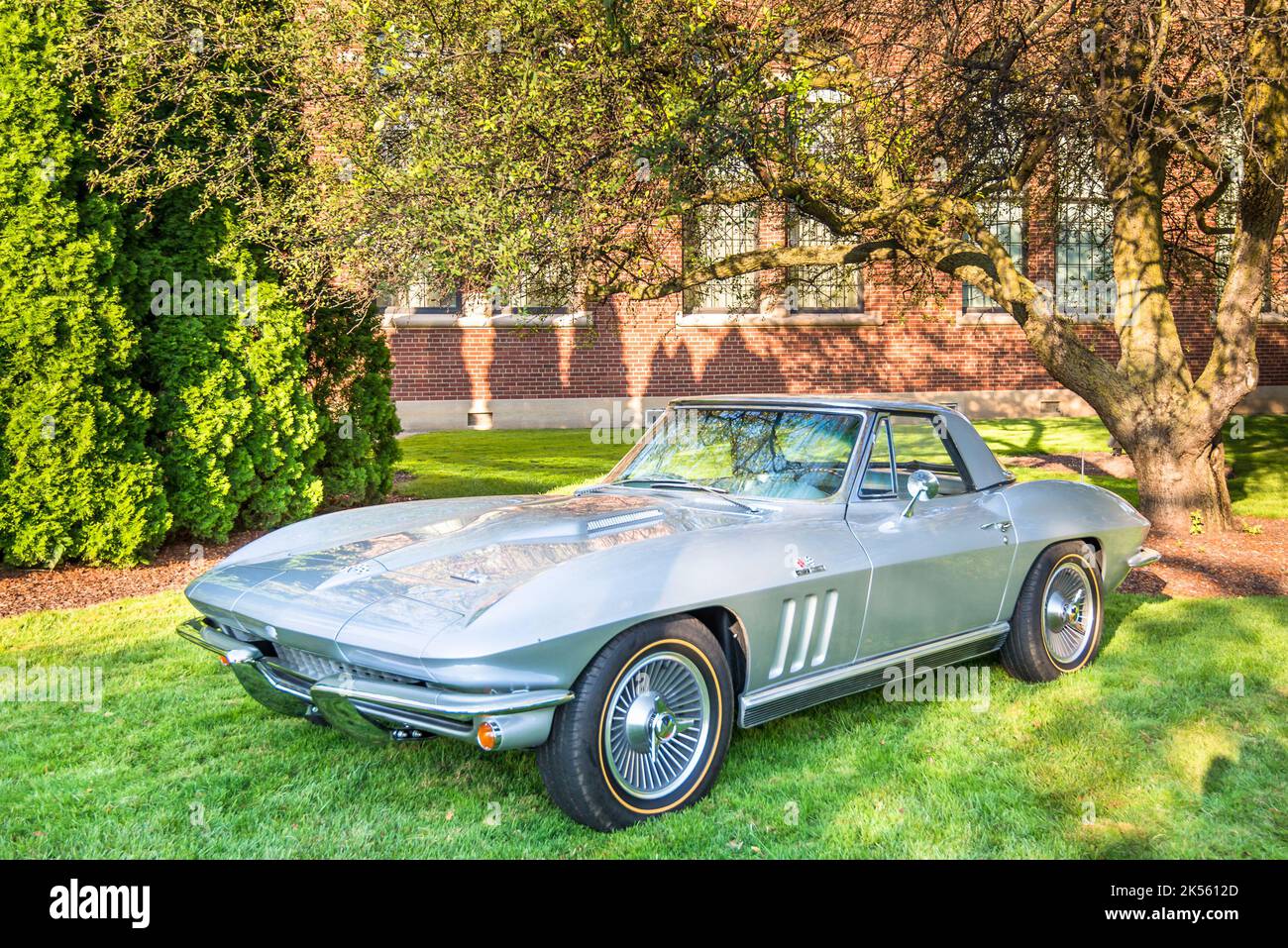 PLYMOUTH, MI/USA - 30. JULI 2017: Ein 1966 Chevrolet Corvette-Fahrzeug auf der Automobilmesse Concours d'Elegance of America im The Inn at St. John's. Stockfoto