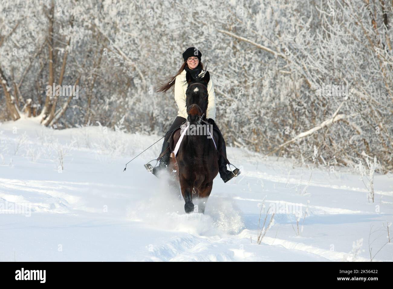 Pferdemädchen geht zu Pferd mit Vollblut-Dressurpferd im Winterwald Stockfoto