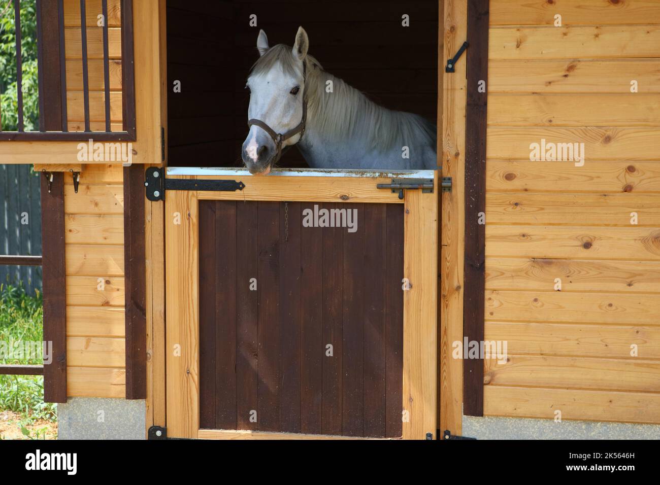 Polopony Rest in Holzstall Stockfoto