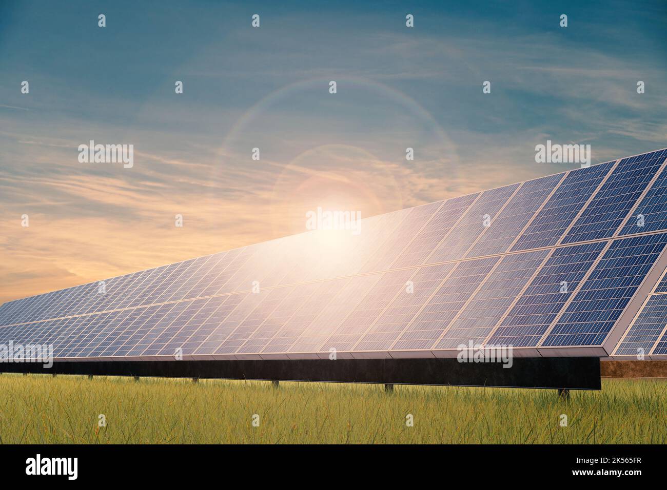 Reihen von Sonnenkollektoren auf grünem Grasfeld. Darstellung des Konzepts der Solarenergie und anderer erneuerbarer und nachhaltiger Energien Stockfoto