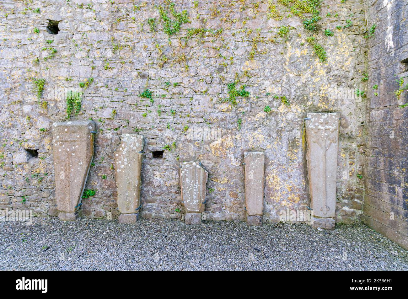 Alte geschnitzte Grabsteine, die in den Ruinen der Strade Abbey, Grafschaft Mayo, Republik Irland, gegen die Wand gehalten wurden Stockfoto
