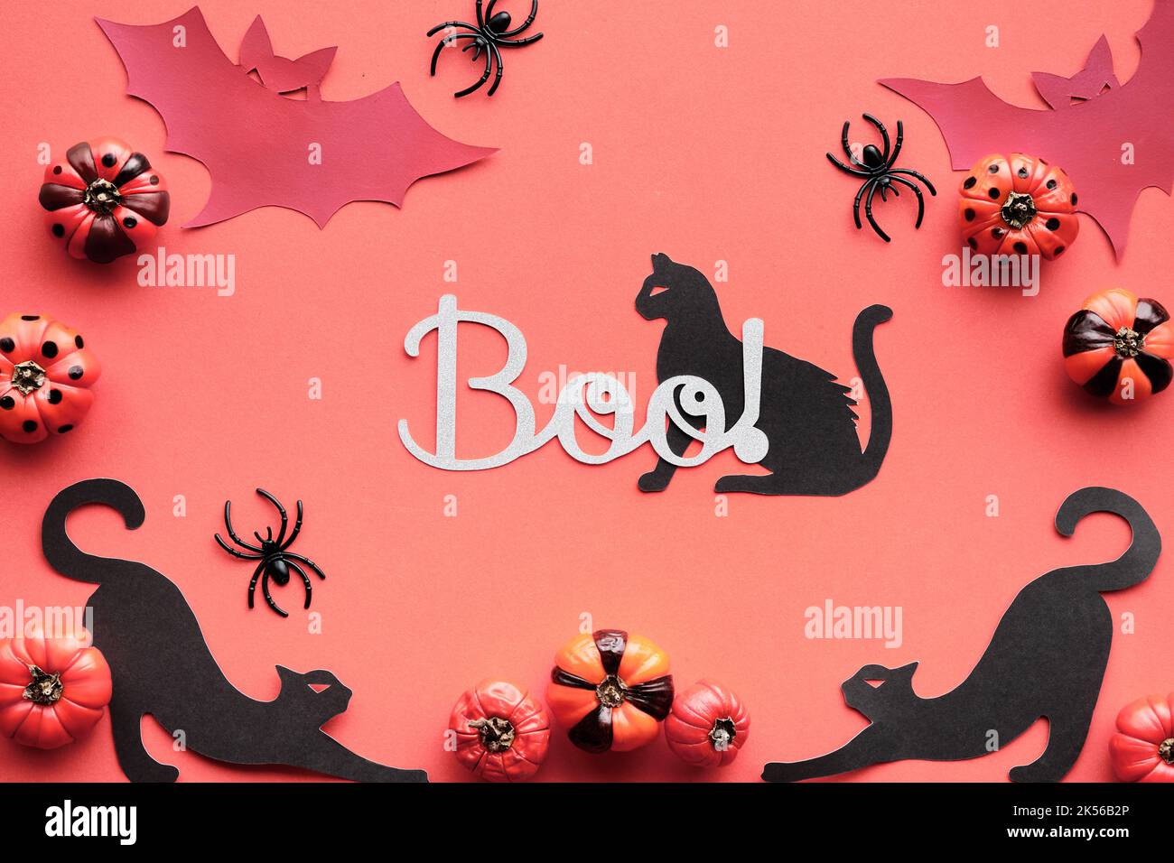 Lachsrosa, orange Halloween Hintergrund. Silhouetten von schwarzen Katzen, Papierfledermäusen und schwarzen Spinnen. Rosa Deko-Kürbisse mit Streifen und dekorativ Stockfoto