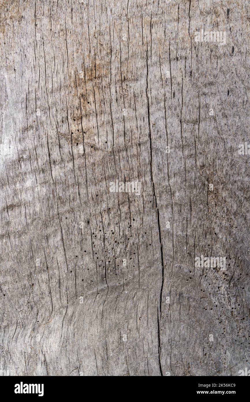 Alte rustikale braune rustikale Holz Hintergrund Stockfoto