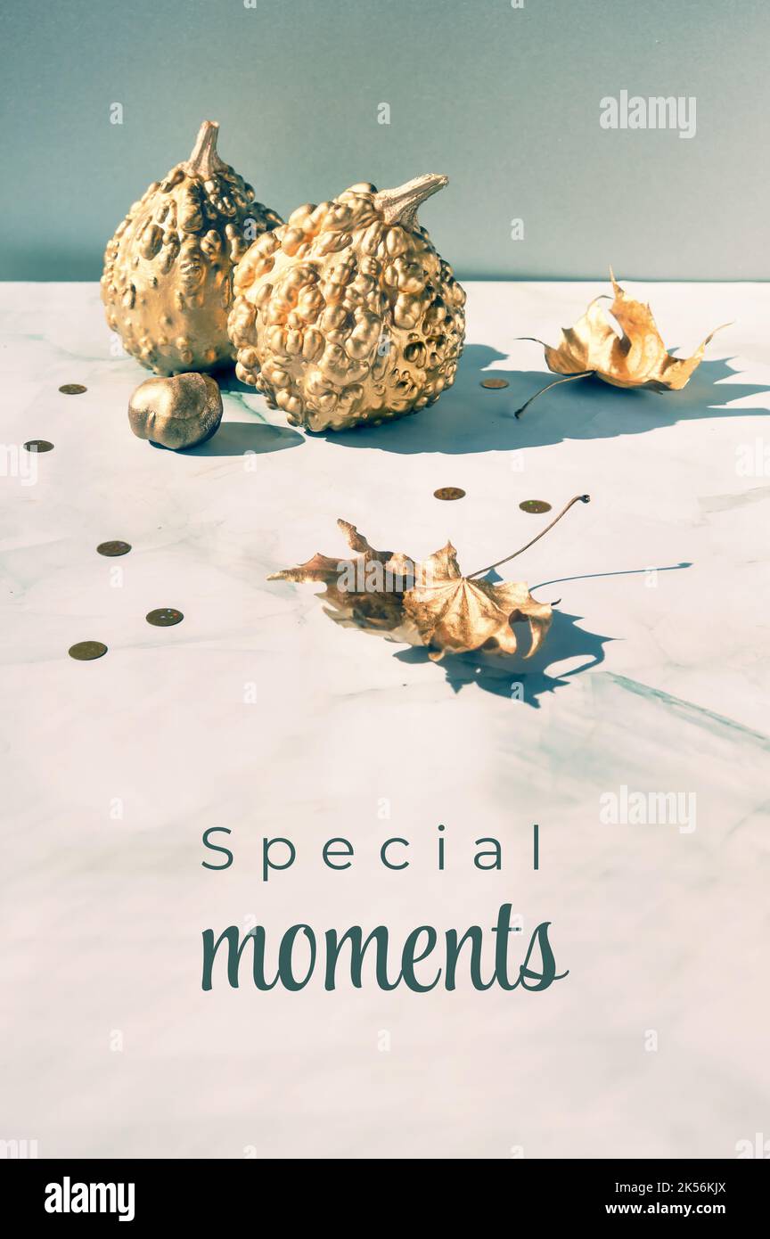 Vertikaler Hintergrund für Social-Media-Geschichten. Herbstliches, herbstliches Naturdekor, vergoldete goldene Kürbisse und glänzend trockene Blätter. Herbstschmuck, Text Spezial Stockfoto