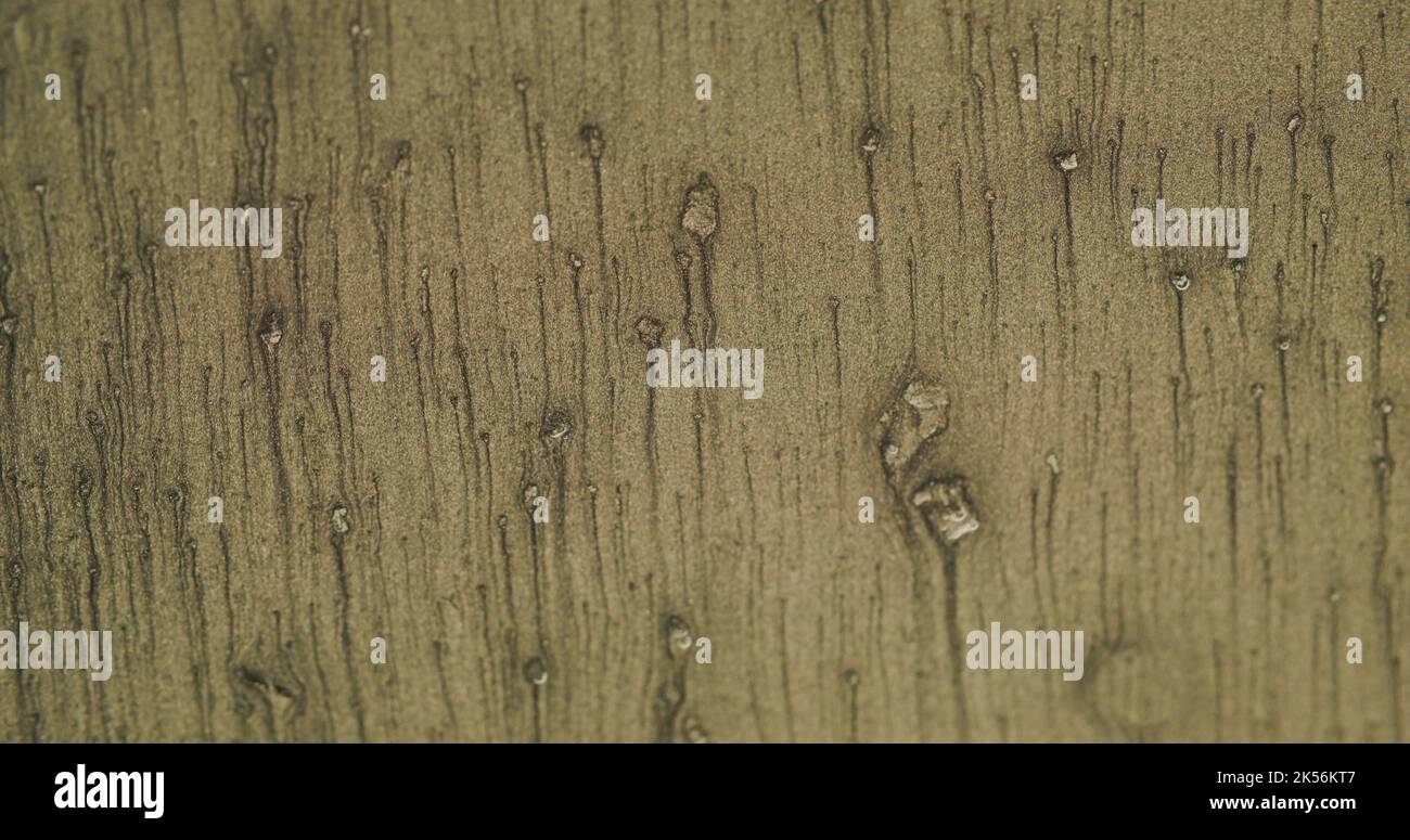 Sand Textur Hintergrund Korn Rauschen martini oliv Stockfoto