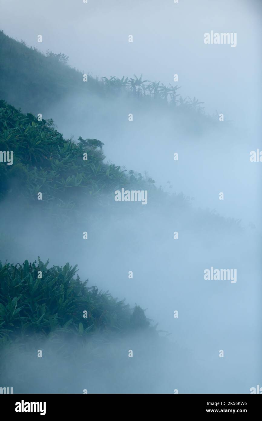 Berge im Nebel in Uganda Stockfoto