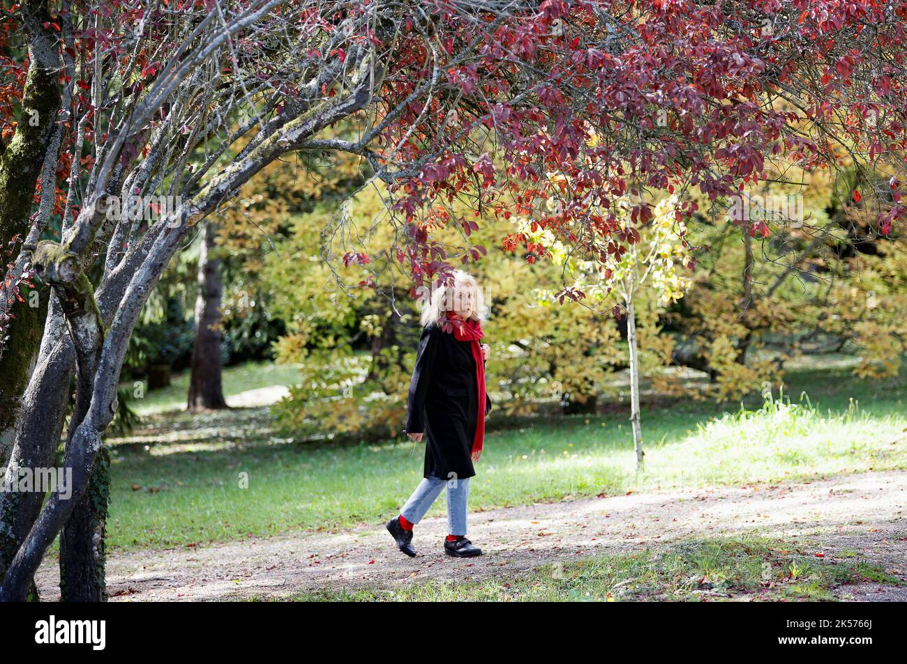 Die französische Romanautorin Annie Ernaux läuft, nachdem sie am 6