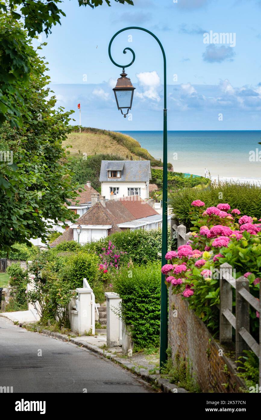 Frankreich, seine Maritime, Veules les les Roses, die schönsten Dörfer Frankreichs Stockfoto