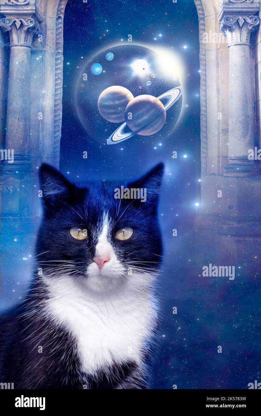 Eine mystische Katze mit Säulen, Planeten, Sternen und Universum wie spirituelle Tiere Konzept, Fantasy-Tiere, Engelstiere, mystische Tiere und Wächter Stockfoto