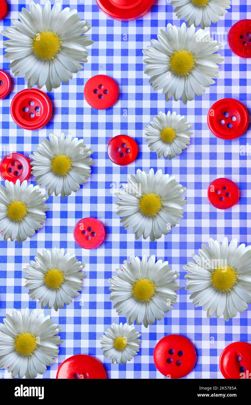 Romantischer blumiger Hintergrund mit roten Knöpfen, Gänseblümchen, Sonnenblumen über blauen Würfeln wie florales Sommerkonzept Stockfoto