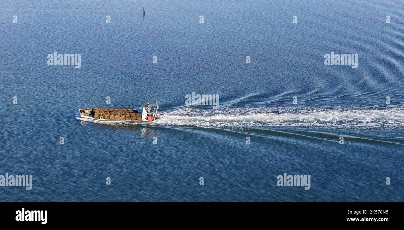 Frankreich, Vendee, Noirmoutier en l'Ile, Austernboot mit Reisetaschen (Luftaufnahme) Stockfoto
