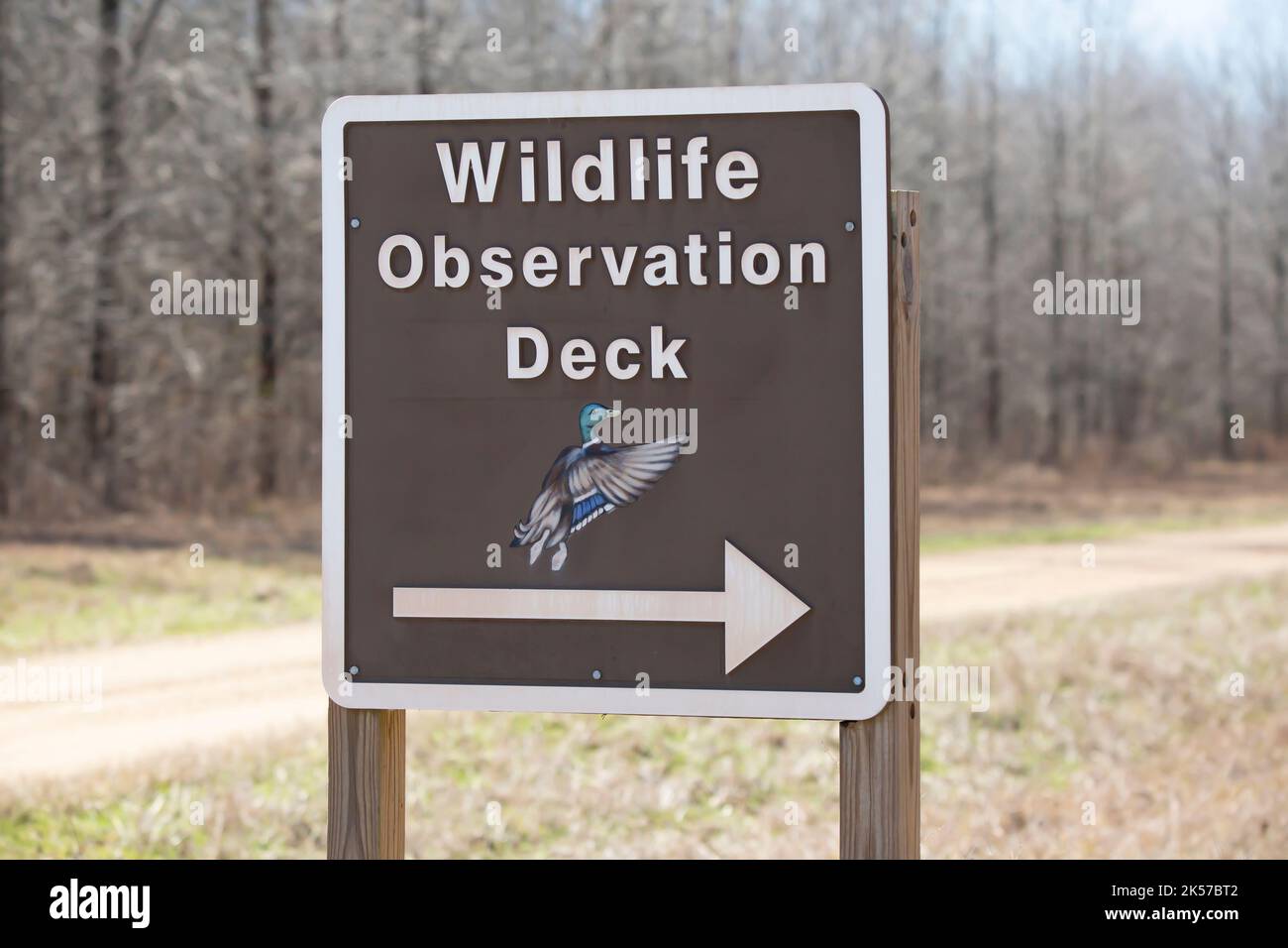 BAYOU COCODRIE NATIONAL WILDLIFE REFUGE LOUISIANA/USA – FEBRUAR 4 2022: Schild zeigt den Weg zum Bayou Cocodrie National Wildlife Refuge Wildlife Stockfoto