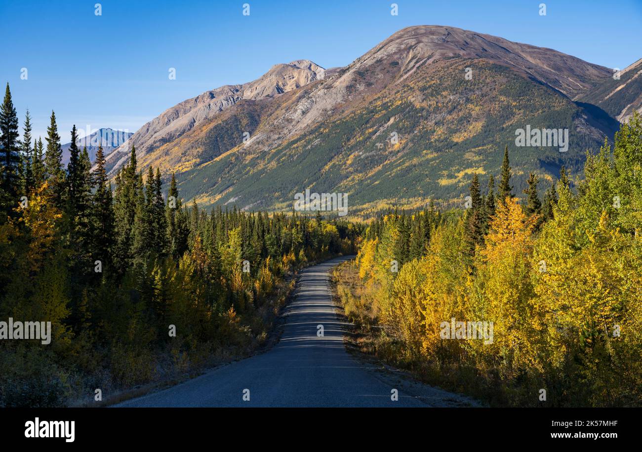 Herbstfarben und Berge auf der British Columbia Route 37, dem Cassiar Highway in Kanada. Das Hotel liegt in der Nähe des Good Hope Lake. Stockfoto